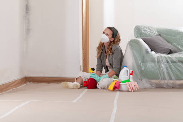Reliable Black Mold Remediation contractor in Decatur, GA by 24 Hour Mold Removal